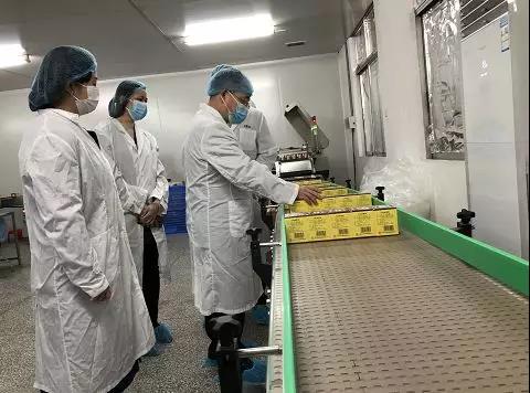 同心抗疫，，，，，确保质量！EVO视讯公司振隆厂外车间接受广药集团生产监视包管小组事情督导