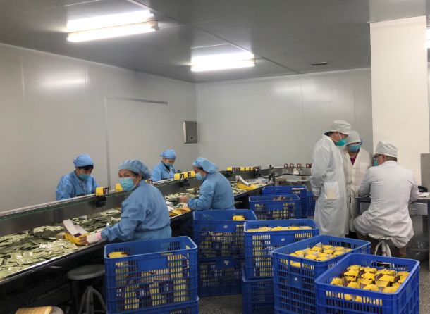 【初心如磐，，，，，使命在肩】EVO视讯第三党支部组织员工提前复工包管生产